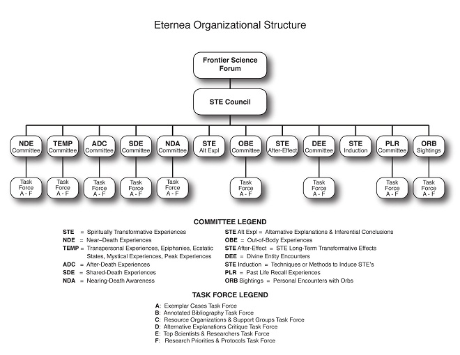 STE Council org chart